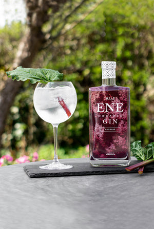 Rabarber Gin og Tonic med dansk rabarber gin