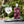 Load image into Gallery viewer, ENE Organic Gin - Rhubarb vol. 40%