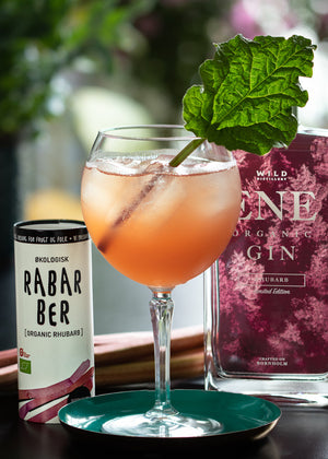 Rabarber_Gin_og_juice