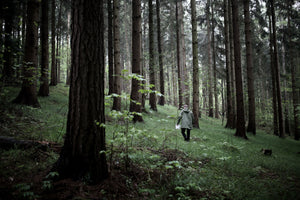 Danske ingredienser til dansk gin