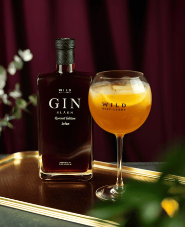 Slåen Gin & Tonic