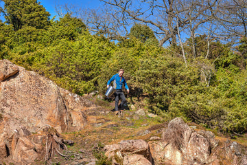 Hvad er botanicals? Læs hvordan råvarer skaber smagen i gin