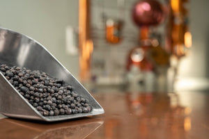 Økologiske enebær til gin produktion