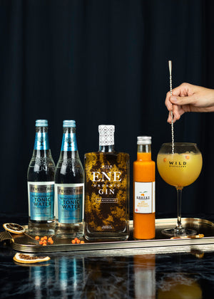 Havtorn gin bundle