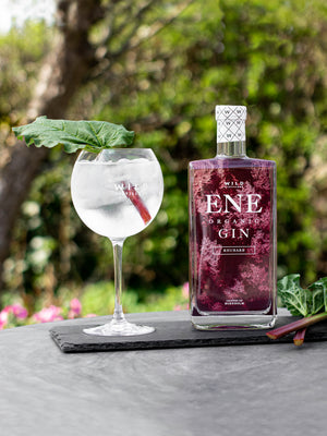 Rabarber Gin og Tonic med dansk rabarber gin