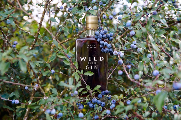 WILD Sloe & Oaked edition Gin - vol. 45% - 50 cl.