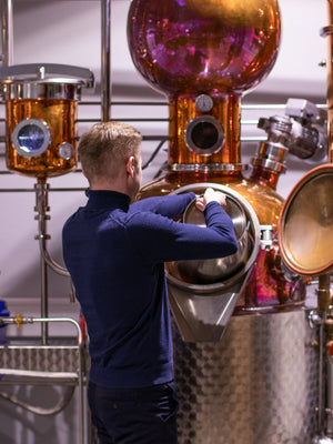 Gratis oplevelser på bornholm