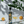 Load image into Gallery viewer, REN VODKA Orange vol. 40% - 70 cl. - Wild Distillery Bornholm
